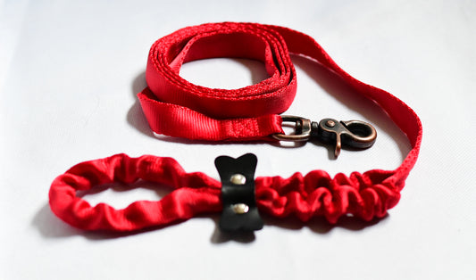 Safe-D Leash (Red)